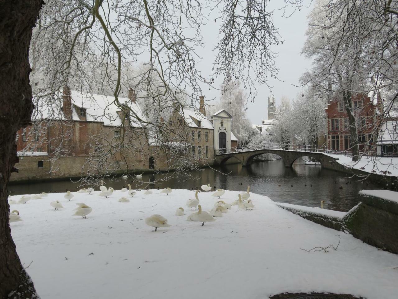 Bonnie Apartment Bruges Exterior photo